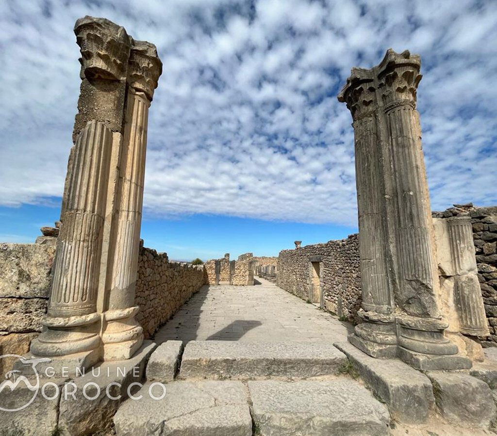 Volubillis Columns